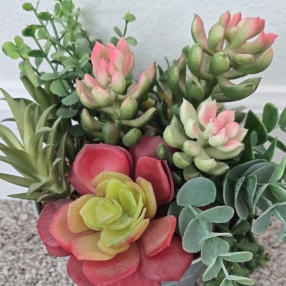 Succulent Arrangement in Gray Metal Pot - Picture 4 of 9